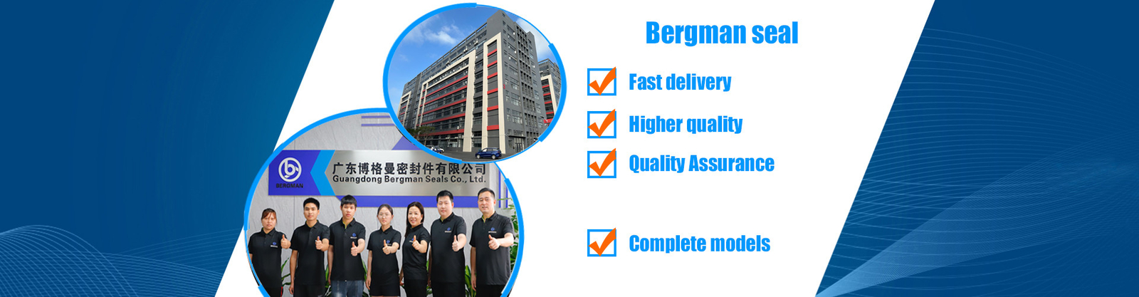 quality Pump Mechanical Seal factory