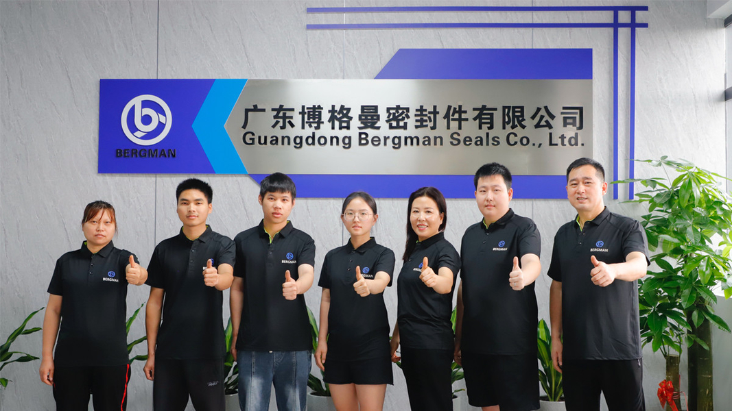 China Guangzhou Bogeman Mechanical Seal Co., Ltd. company profile