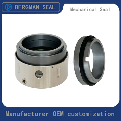 BERGMAN 58B 59B 25mm-100mm G60 G4 G6 G9 G13 G16 BS Bo BP Pump Mechanical Seal