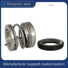 113A Tungsten Carbide 20mm Water Pump Mechanical Seal High Pressure